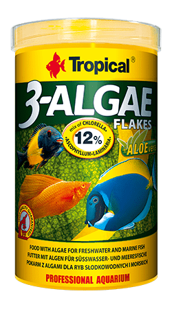 Tropical 3-Algae Listić