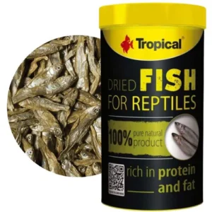 Tropical dried fish food