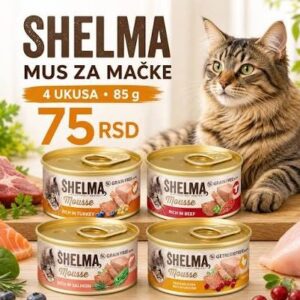 Shelma mousse 85gr