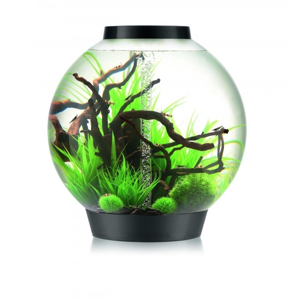 OASE BiOrb classic LED kugla 60l